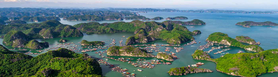 Cat Ba Island Review